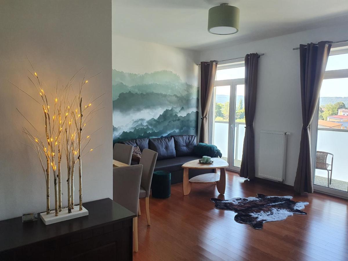 Appartement Apartman S Wellness à Karlovy Vary Extérieur photo