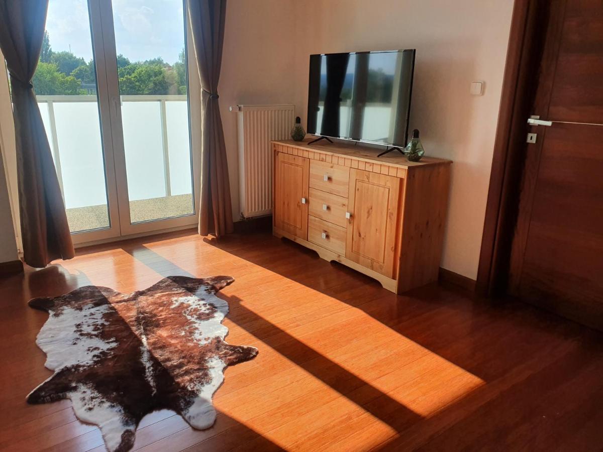 Appartement Apartman S Wellness à Karlovy Vary Extérieur photo